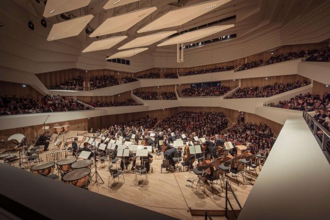 Orchester spielt ein Konzert in vollbesetztem Konzertsaal, Perspektive von hinter dem Orchester