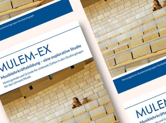 Cover Studie Mulex-Ex